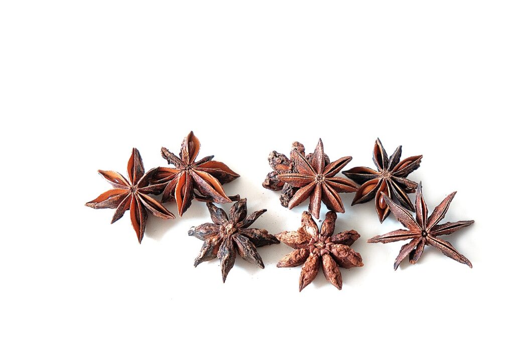 Chinese spices : Star Anise