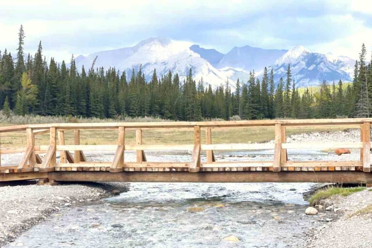 Bridge at Cascade ponds