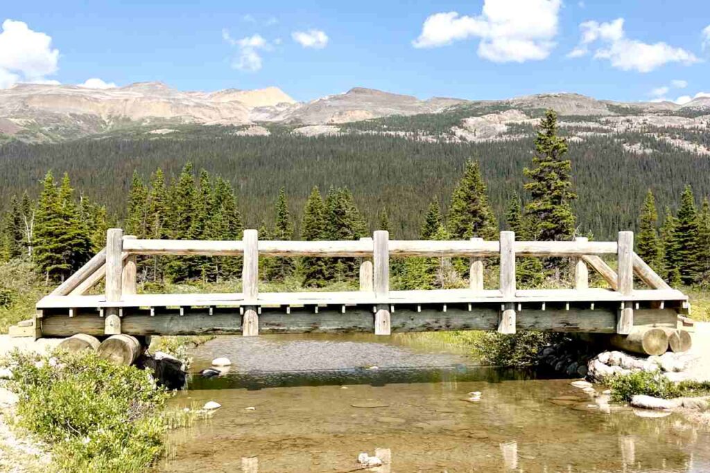 Bridge at Bow Lake