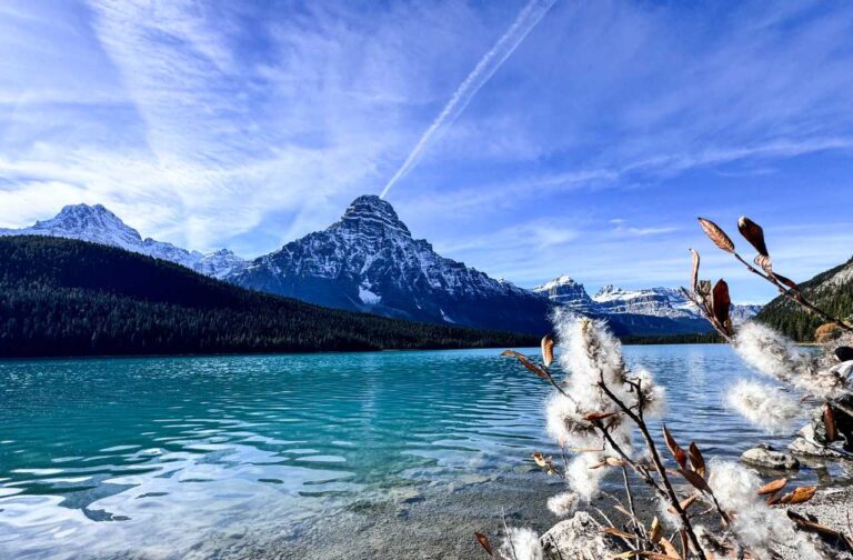 Waterfowl Lakes-Banff National Park