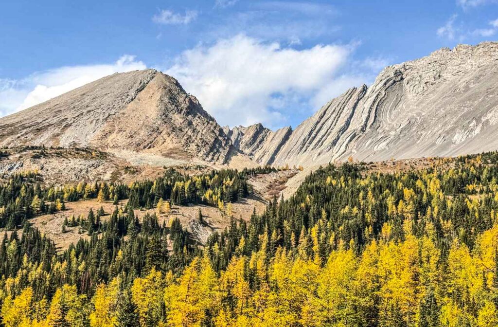 Arethusa Cirque- Larch Hikes near Calgary