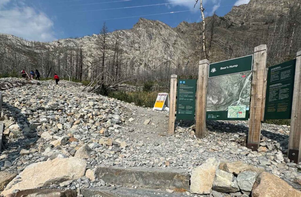 Waterton-Bear's Hump Hike