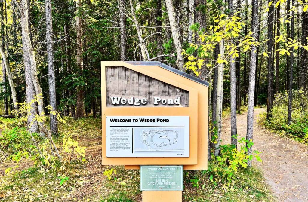 Wedge Pond