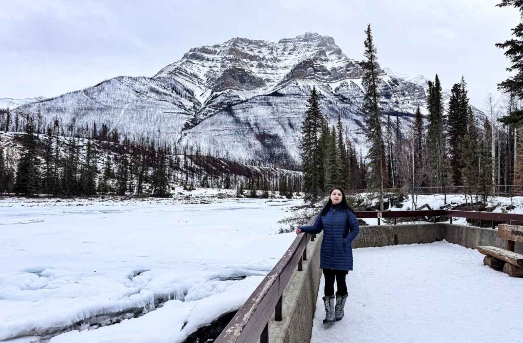 Athabasca Falls mountain view
