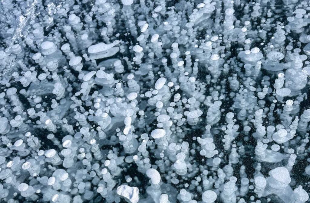 Abraham Lake bubbles