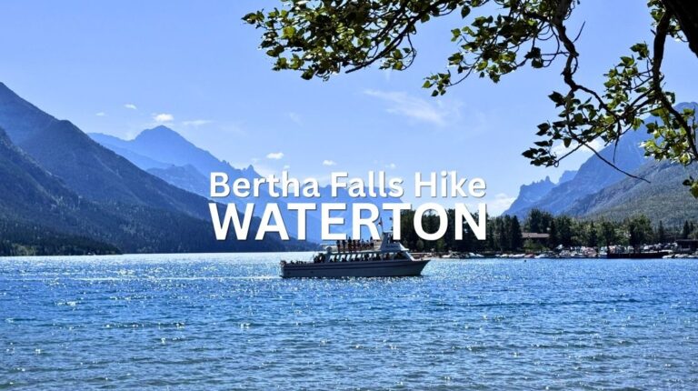 Bertha Falls Hike Waterton