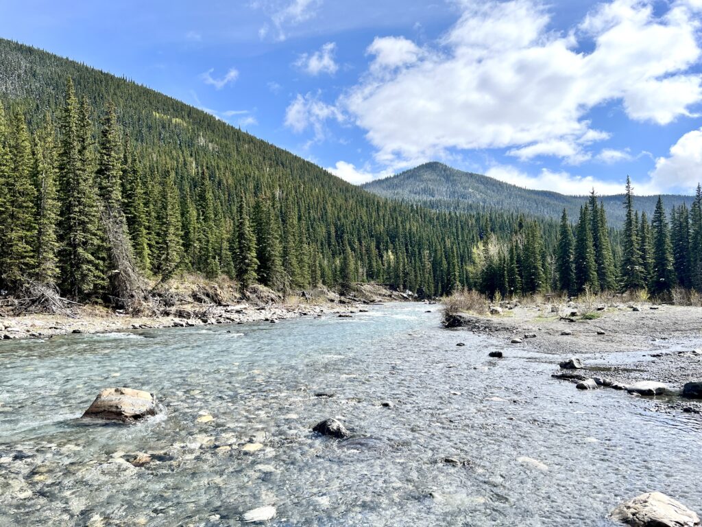 Sheep River Falls
