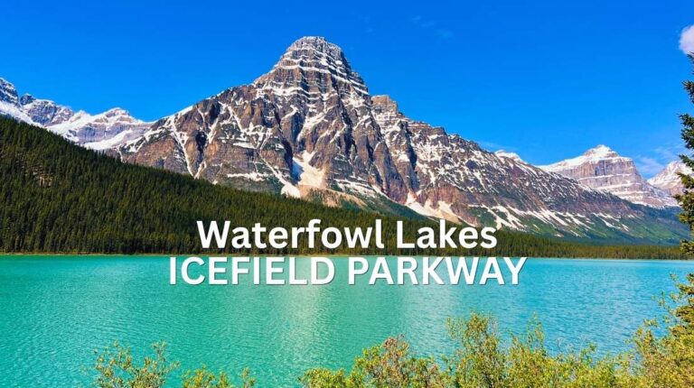 Waterfowl Lakes