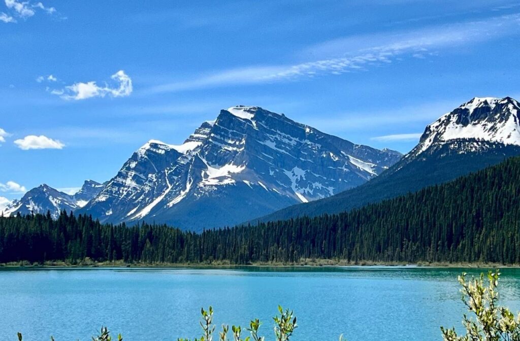 Waterfowl Lakes